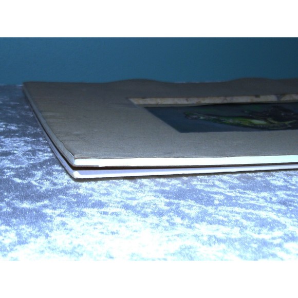 Vintage The Glass Frog Print by Artist Judith Smith Wilson - Picture 16 of 16